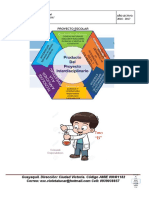 Proyecto - Quimica PDF