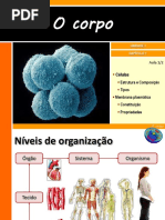 1-ocorpo-121109202110-phpapp01.pdf