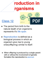 Reproduction in Organisms