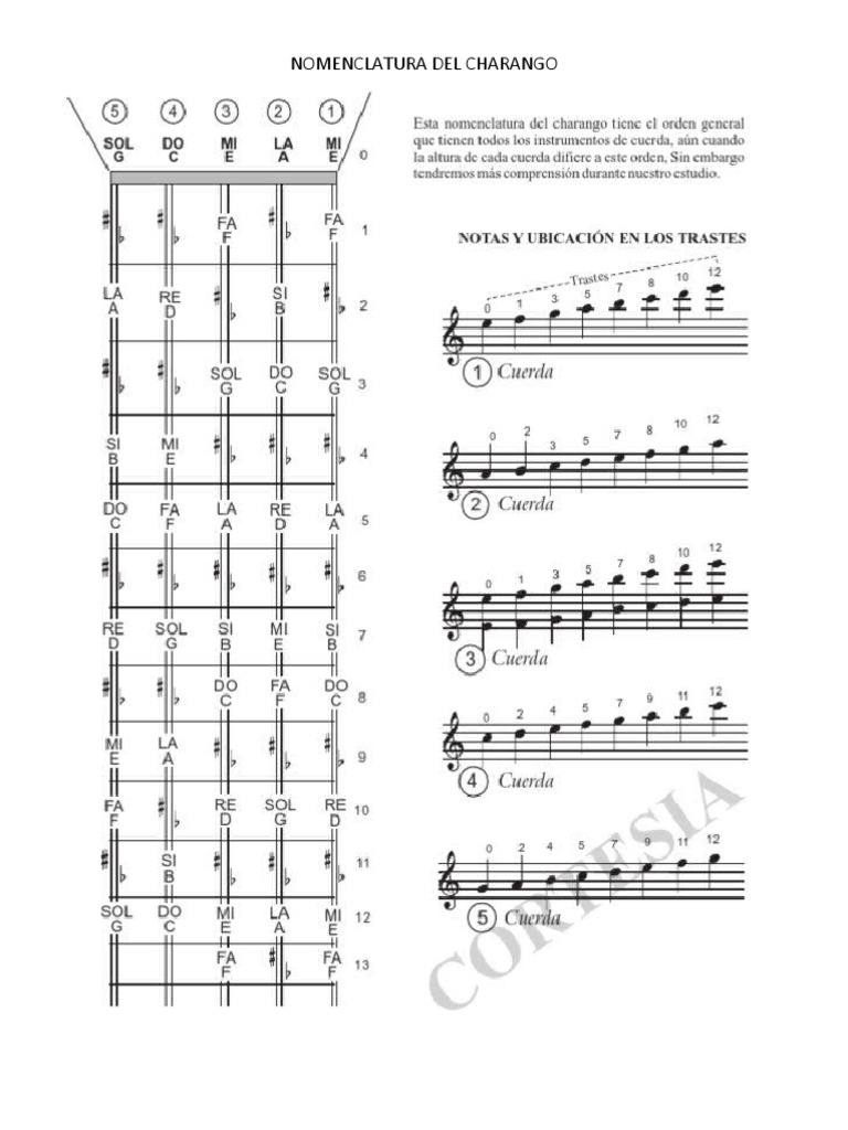 Nomenclatura Del Charango Pdf