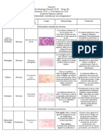 Enfermedades Microbianas