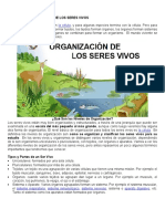 Tema 3 Ciclo III P4 Niveles de Organizacion de Seres Vivos