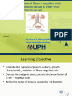 Week 4 Bordatella + Brucella + Haemophilus.ppt