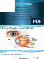 Sistem Indra Manusia