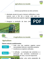Agricultura - Fatores e Tipos PP1