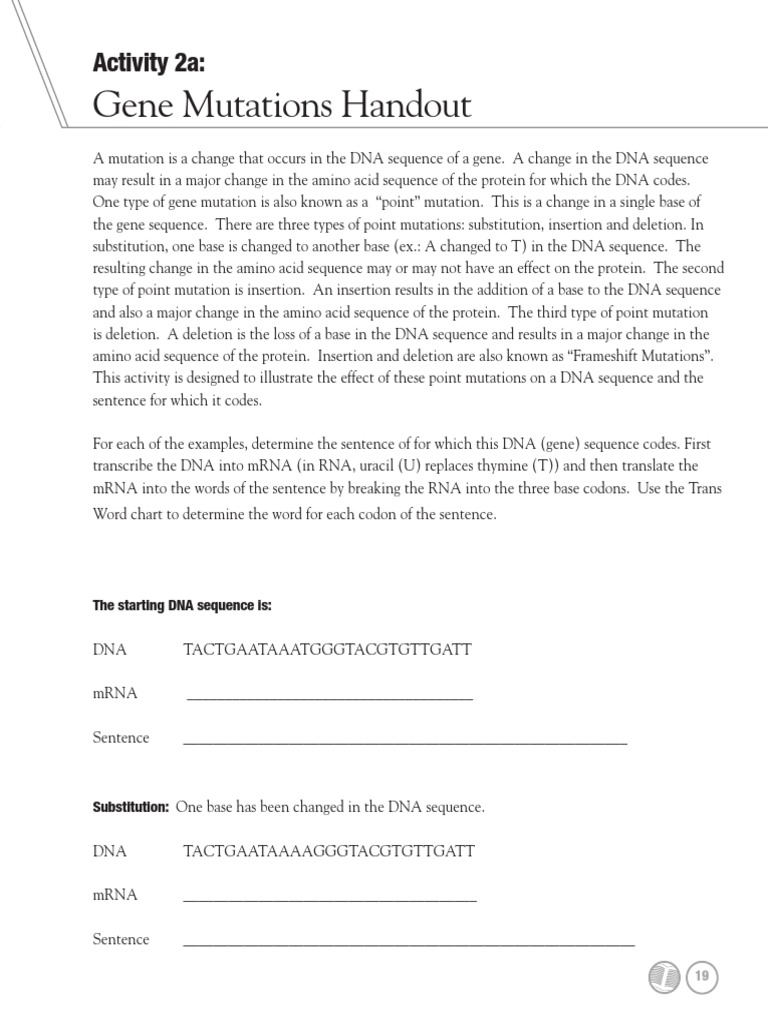 Gene Mutation Handout PDF | PDF | Point Mutation | Nucleic Acid Sequence