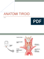 Anatomi Tiroid