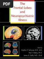 Download Frontal Lobes by Silvia Eugenia SN45239226 doc pdf