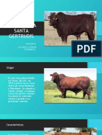 Santa Gertrudis