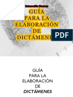 GUIA PARA ELABORACIÓN DE DICTAMENES.pdf