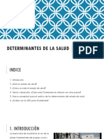 Presentación Determinantes de La Salud