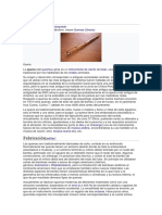 Quena PDF