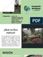 Eco Hidrico PDF