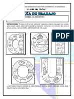 Guía de Estudio 5to. MAGISTERIO / Manualidades Infantiles 