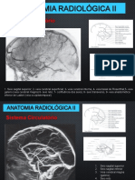 Anatomia Radiológica II - Sistema Circulatório