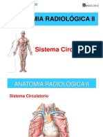 Sistema Circulatorio1