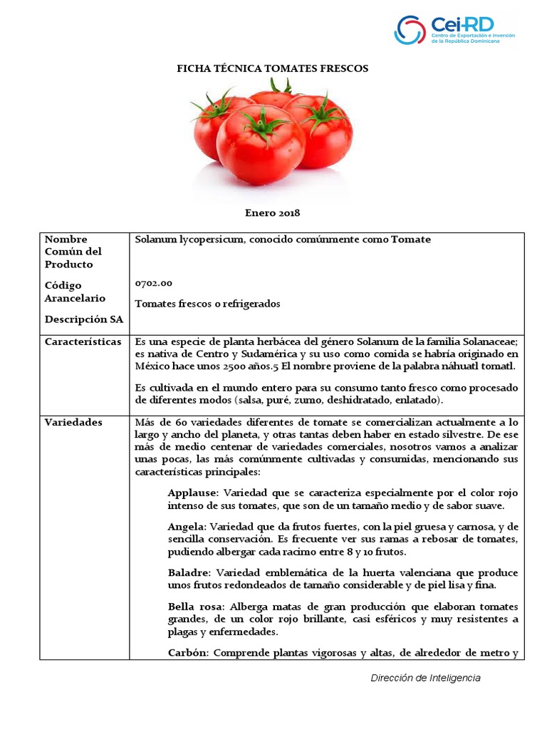 Taxonomía Del Tomate PDF Tomate Plantas edu.svet.gob.gt