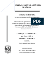 Trabajo Profesional - Rocío Araceli Castro Abarca PDF