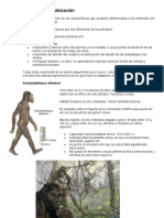 Proceso de Hominización