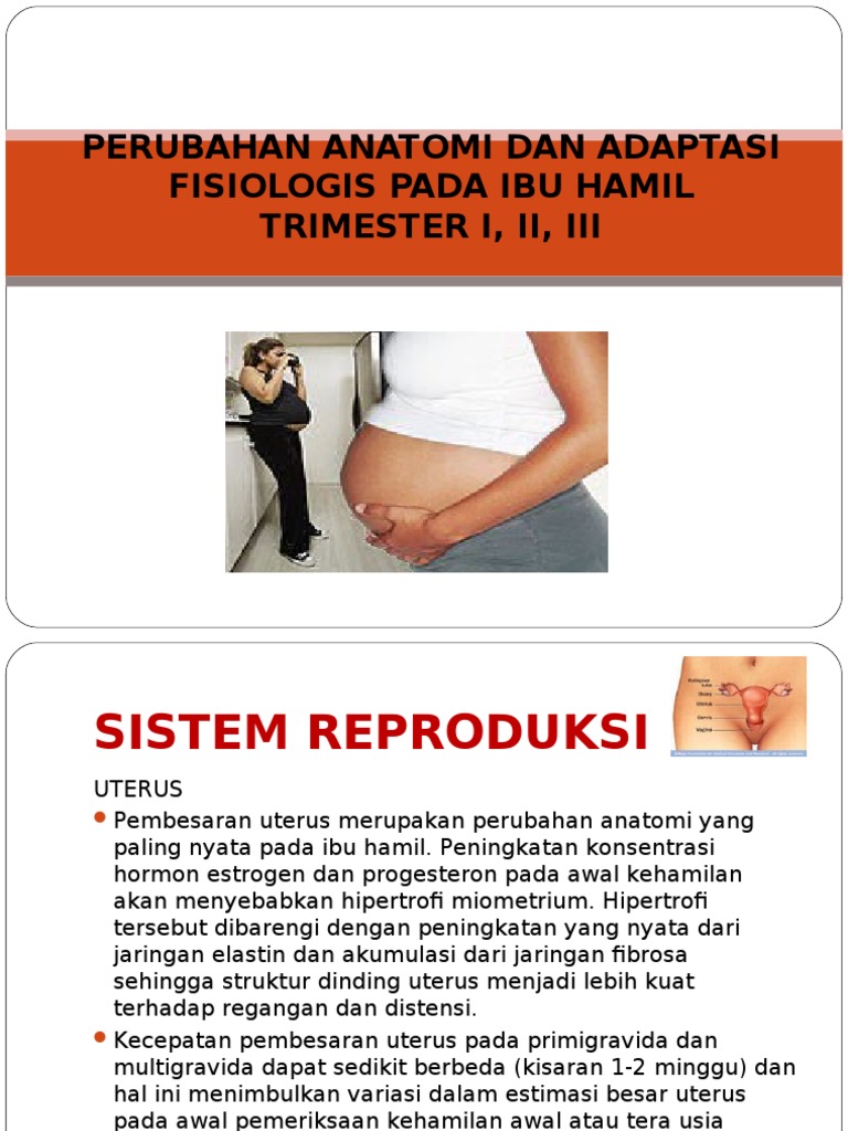 Perubahan Anatomi Fisiologi Ppt
