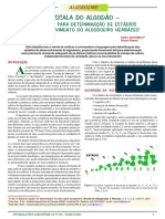 Escala Do Algodão INPI PDF