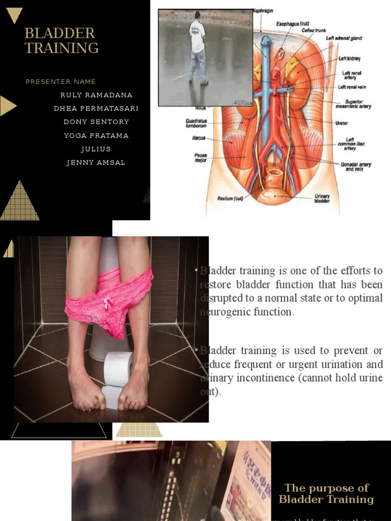 Bladder Training PDF