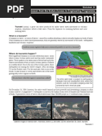 Tsunami: A Lesson From The Native Access To Engineering Programme