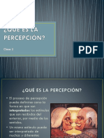 Clase 2. Qué Es La Percepción