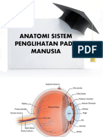 Anatomi Sistem Pengindraan Indra Penglih