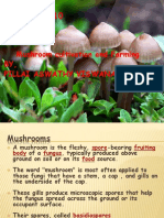 Mushroom Cultivation PDF
