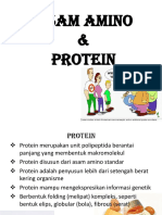 ASAM AMINO & PROTEIN Utk E-Learning