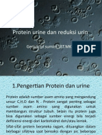 Protein Urine Dan Reduksi Urin