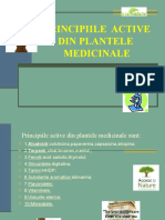 0 Plante Medicinale