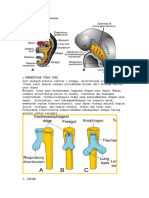 Embriologi Pernapasan Tutor 1