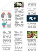 Leaflet Diet PGK