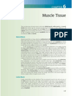 Musccle Tissue.pdf