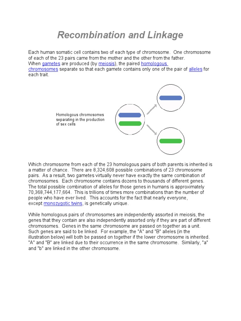 Notes On Linkage Recombination – EGXQ
