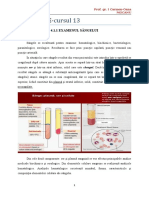 EXAMENUL SÂNGELUI-S13