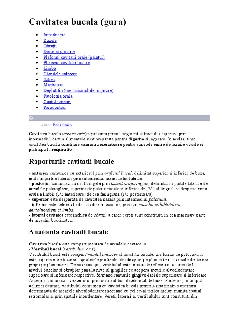 Anatomie Bucala | PDF