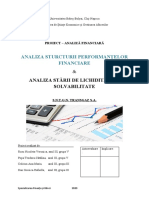 Proiect.Analiza structurii performantelor financiare TRANSGAZ.docx