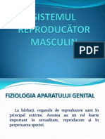 Aparatul Reproducator Masculin