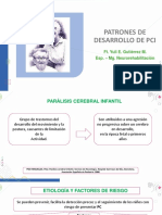 Patrones de Desarrollo en Pci