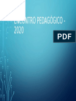 Encontro pedagógico - 2020.pptx