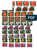 pictureflowers.doc