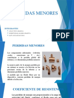 Diapositivas de Perdidas Menores