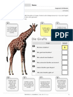 Kid-A1 Modellsatz Modul2 Schriftlich PDF