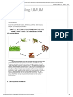 Teguh's Blog UMUM - RANTAI MAKANAN DAN JARING-JARING MAKANAN PADA EKOSISTEM SAWAH PDF