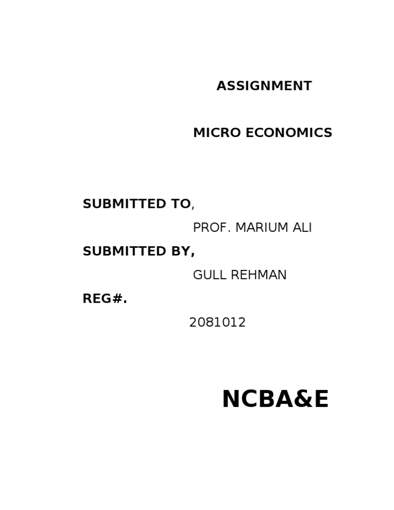 Micro Economics Assignment by Gull Rehman | PDF