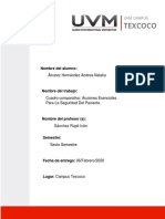 Acciones Esenciales para La Seguridad Del Paciente PDF