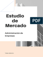 Estudio de Mercado Administración